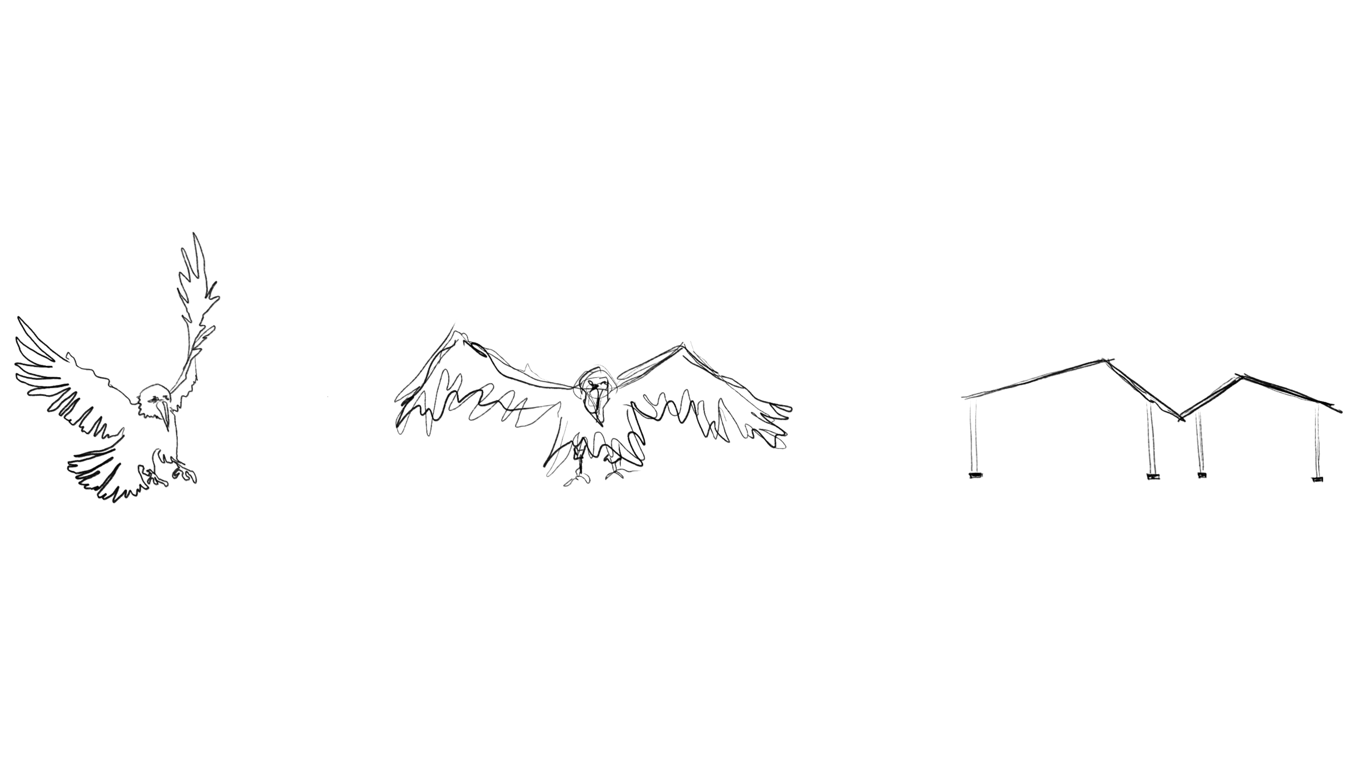 Bird and roof concept sketch